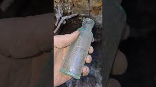 Digging A Liniment Bottle bottlecollecting bottledigging dumpdigging antiquebottles [upl. by Yelknirb188]