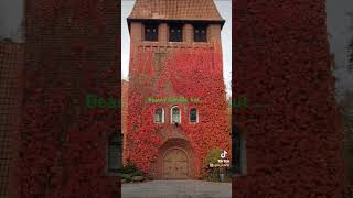 Der schöne Scheinchurch video art artist germany kunst [upl. by Ardme]