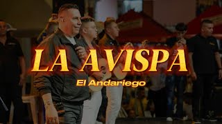 LA AVISPA  EL ANDARIEGO LETRA [upl. by Fafa155]