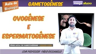 Gametogênese  Aula muito boa  COM MATERIAL NA DESCRIÇÃO [upl. by Cortney]