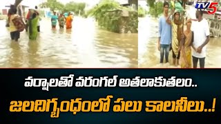 జలదిగ్బంధంలో పలు కాలనీలు Tv5 Ground Report On Heavy Rains Hits Warangal  Tv5 News [upl. by Gerri]