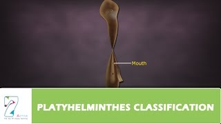 PLATYHELMINTHES CLASSIFICATION [upl. by Tatum699]