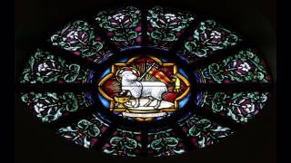 Agnus Dei qui tollis peccata mundi miserere nobis [upl. by Sven]