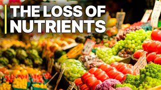 Industry Scandal The Loss Of Nutrients  Full Documentaries [upl. by Tiffi]