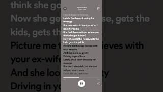 Taylor Swift Vigilante Shit  Lyrics [upl. by Salchunas]