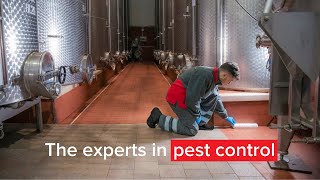 Introducing Rentokil Global experts in commercial pest control [upl. by Alby737]