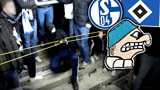 Katapult im GästeBlock amp UGE mit PnisNase Schalke vs HSV [upl. by Alarick]