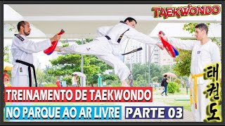 TREINO DE TAEKWONDO NO PARQUE AO AR LIVRE [upl. by Shiroma]