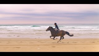 Wild Horse Riding on Perranporth Beach  Travel Channel [upl. by Erdnael576]