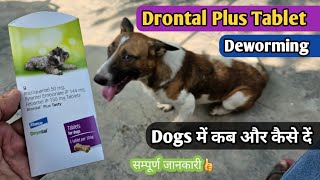 Drontal Plus Tablet dogs uses in Hindi  drontal plus Deworming tablet  Dog unique cafe [upl. by Annala]