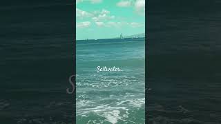 sweat tears or sea…is a cure for anything”Isak Dinesen relaxing meditations musicshorts [upl. by Av272]