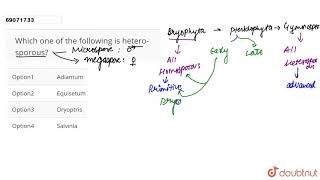 Which one of the following is heterosporous  12  NEET  BIOLOGY  NEET PREVIOUS YEAR YEARW [upl. by Dreyer]