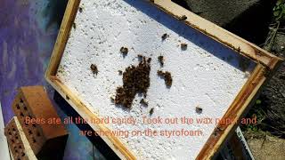 How to feed bees in winter Hard candy technique [upl. by Tichonn]