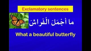 Exclamatory sentences [upl. by Reffotsirk818]