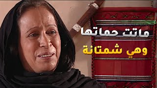 حماتها ماتت وبدل ما تزعل عليها مستأنسة عشان صارت هي راعية البيت😢 الداية [upl. by Mycah605]