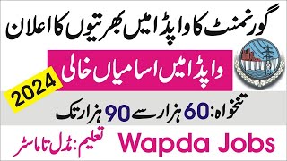 Wapda Jobs 2024  New Govt Jobs 2024 in Pakistan  Today Govt Jobs today in Pakistan [upl. by Penni]