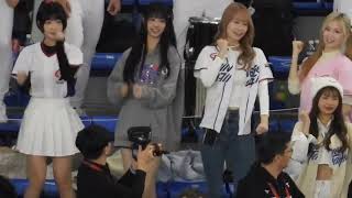 JAPAN VLOG 台湾の超美人チア達も私服で応援参戦！Taiwan vs USA WBSC Premire12 20241122 in Tokyo Dome [upl. by Py]