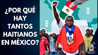 ¿Los HAITIANOS están recibiendo PROGRAMAS SOCIALES a cambio de su voto  Mientras tanto en México [upl. by Anibor632]