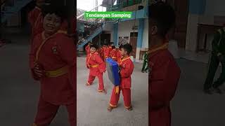 Tendangan Samping Pencak Silat Tapak Suci [upl. by Dewees]