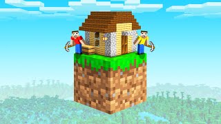 We Built a HOUSE On One Block In Minecraft Hardcore [upl. by Shandra]