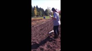 Simple 6 Hole Wood Dibbler for Planting Garlic Leeks [upl. by Giorgio]