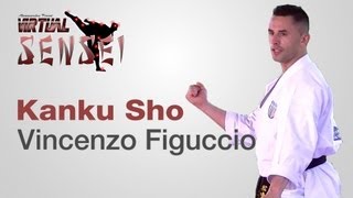 Vincenzo Figuccio teaching kata Kanku Sho  Karate amp Relax June 2013 [upl. by Daron705]