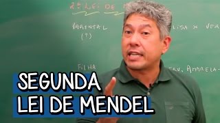 SEGUNDA LEI DE MENDEL  BIOLOGIA  DESCOMPLICA [upl. by Hotchkiss]