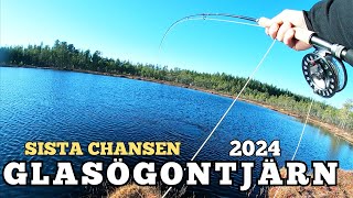 FISKE I DALARNA  GLASÖGONTJÄRN 2024 [upl. by Ahsemat]