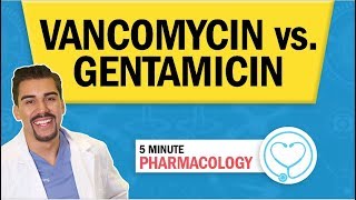 Pharmacology  Vancomycin vs Gentamicin Antibiotics nursing RN PN NCLEX [upl. by Stephine]