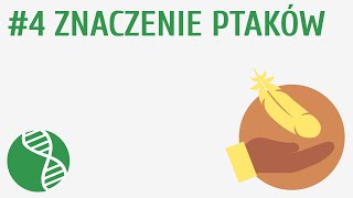 Znaczenie ptaków 4  Ptaki [upl. by Ettenaej]