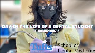 Day In The Life Of A Dental Student at Tufts University School Of Dental Medicine [upl. by Mehcanem220]