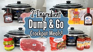 10 Cheap amp Fancy Crockpot Dinners  The EASIEST 2Ingredient Slow Cooker Recipes  Julia Pacheco [upl. by Miarfe560]