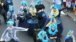 Karnevalszug Viersen Tulpensonntag 2019 Burgstraße Ausschnitte [upl. by Wendell]