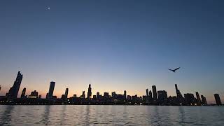 🌆 Stunning chicagoskyline timelapse from Adler Planetarium Cityscape chicago [upl. by Analeh]