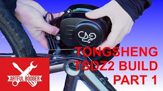 Unveiling The Ultimate Tongsheng Tsdz2 Mid Drive Ebike Motor Bike Build [upl. by Murrell74]