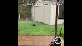 Mildura Hailstorm August 29 2022 [upl. by Whiney]