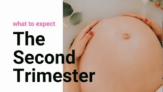 The Second Trimester of Pregnancy  What to Expect  10 Tips for the Second Trimester [upl. by Hedvah469]