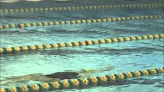 Swimming and Diving Vermont vs Yale amp New Hampshire 12510 [upl. by Suryc]