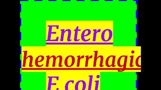 Enterohemmorhagic E Coli [upl. by Calli]