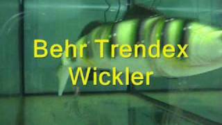 Behr Trendex Wickler [upl. by Dessma605]