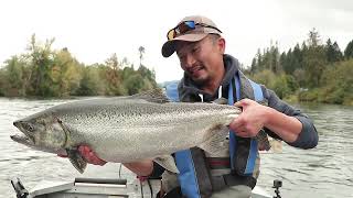 Fish On  Stamp Somass River Fall Salmon Vancouver Island BC Fly Fishing amp Spin Fishing [upl. by Cuthburt]