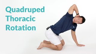 Quadruped Thoracic Rotation for Spine Mobility [upl. by Pozzy]