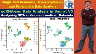 scRNAseq Data Analysis in Seurat V5 Analysing SCTransformnormalized Datasets [upl. by Eerb]