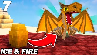 Jadopte mon premier bébé dragon de feu  Minecraft Ice amp Fire EP7 [upl. by Naimad]