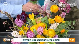 Fiori di stagione  Unomattina  26022024 [upl. by Nivrek]