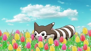 Furret Walk in Relaxing Meadow 10 hours [upl. by Nagam]