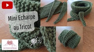 Mini Echarpe au Tricot [upl. by Malcom24]