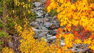 Hiking The Ingalls Creek Trail [upl. by Ahsienom]