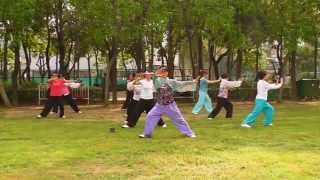 48Form Tai Chi Taiji Review 48Form Tai Chi Taiji [upl. by Navap]