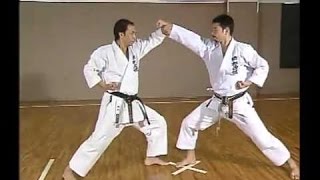 Hirokazu Kanazawa Shotokan Karate Complete Guide 2 [upl. by Stanley]